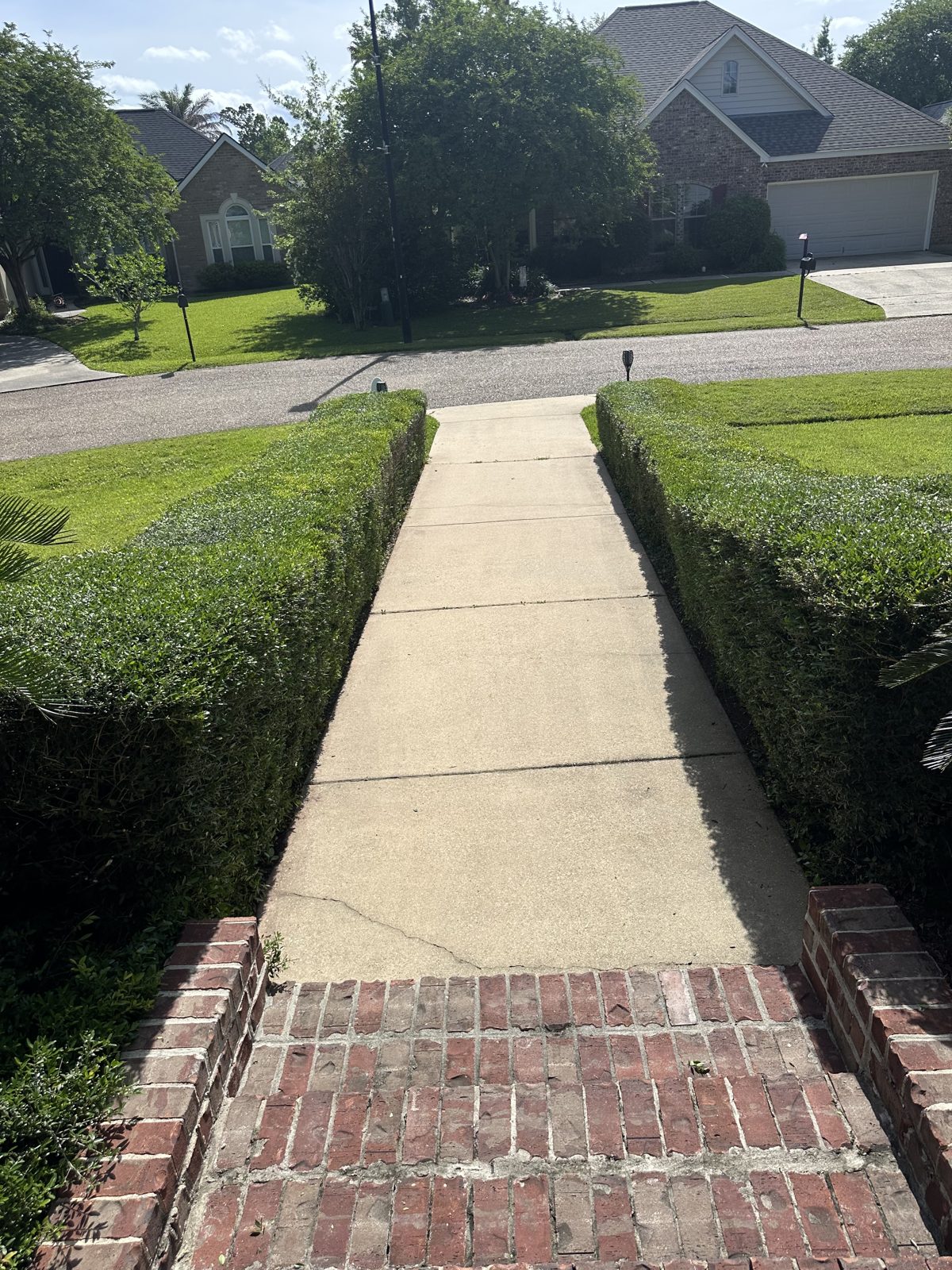 Cleanly edged walkway between trimmed hedges